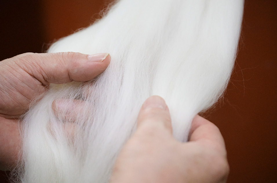 なぜいま、南海紡績とメリノウールインナーをつくるのか。