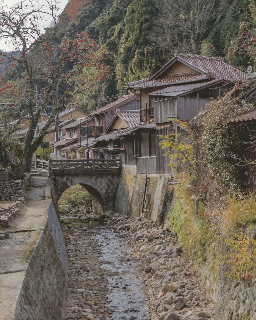 画像7