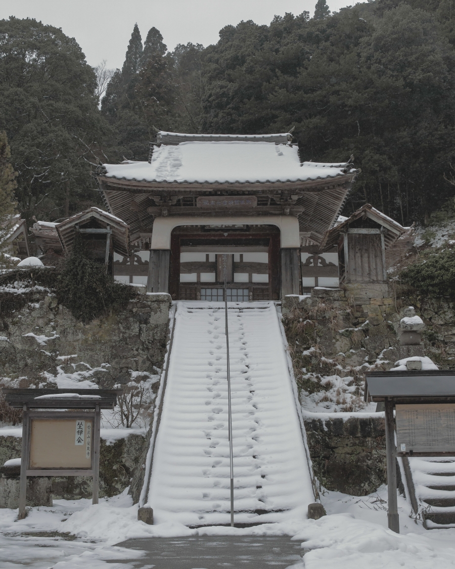 画像9