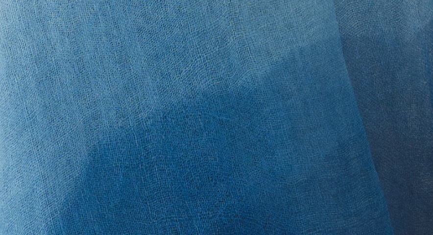 正藍ラミーガーゼ