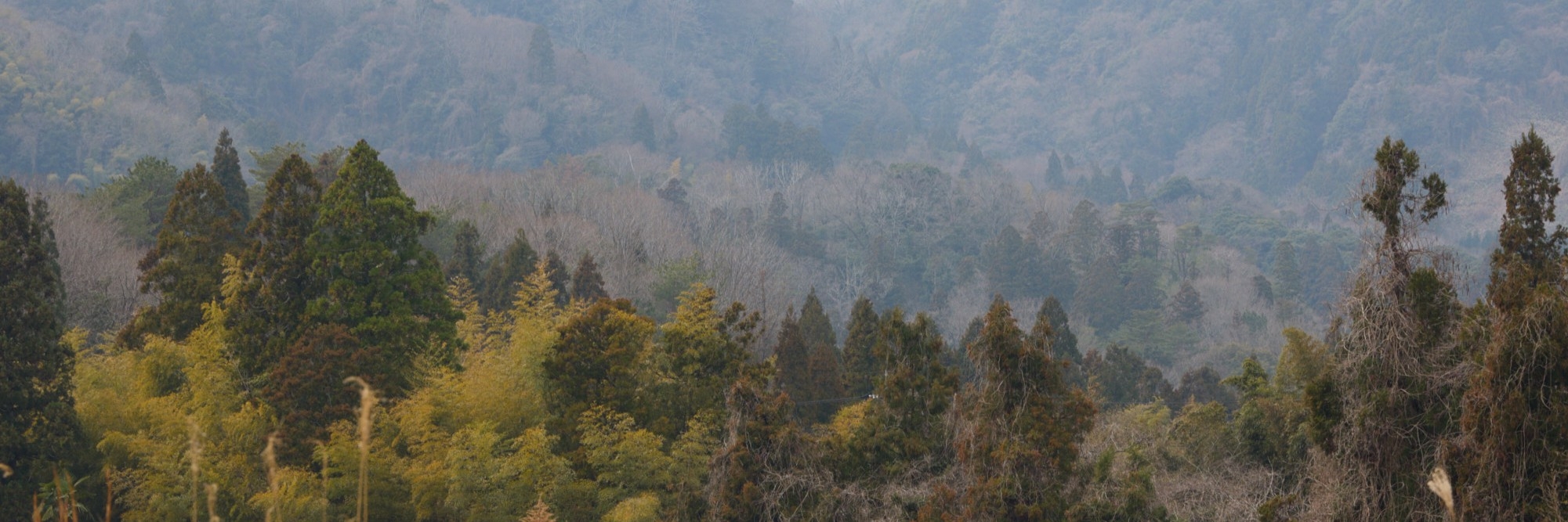 風景画像
