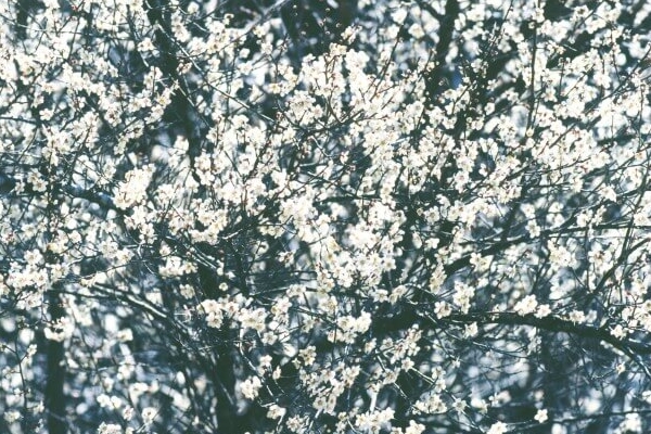 MeDuブランドサイト